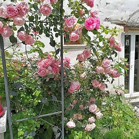 Hotellerie Jardiniers Gourmands * Morsains